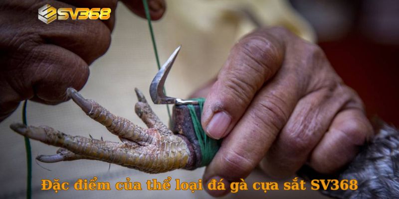 Đặc điểm của thể loại đá gà cựa sắt SV368
